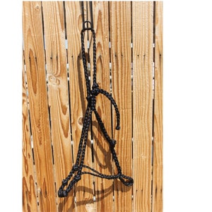 Mule Tape Training Halter With Knots