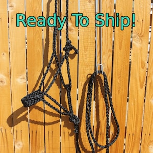 READY TO SHIP - Braided Mule Tape Halter With Detachable Lead