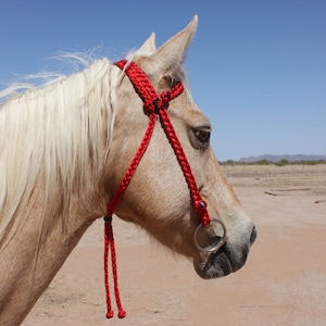 Braided Mule Tape Bridle With Fancy Throatlatch -  Quick Change Option - Ear Choices - Custom
