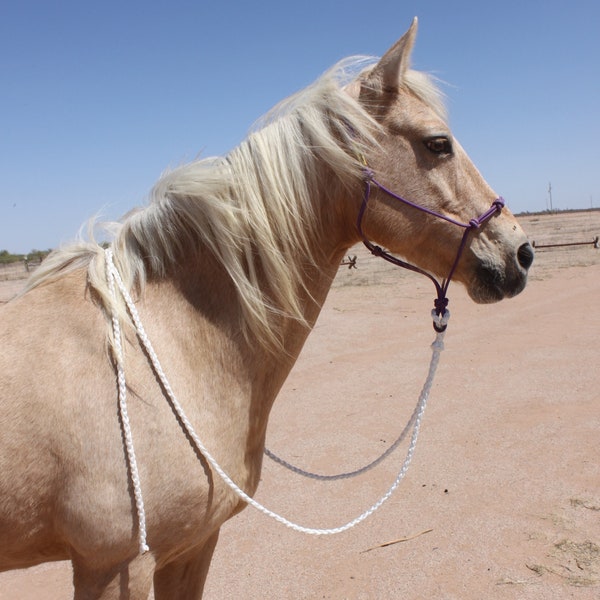 Halter Reins