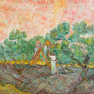 Women Picking Olives Van Gogh oil painting reproduction, hand-painted in oil on canvas