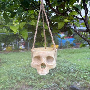 May include: A hanging planter shaped like a human skull, suspended by three strands of rope. The skull is a light beige color, with detailed facial features. The planter is hanging from a tree branch, with green foliage in the background.