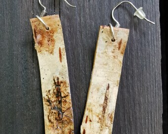 Birch bark earrings from natural wood. Silver earwires.