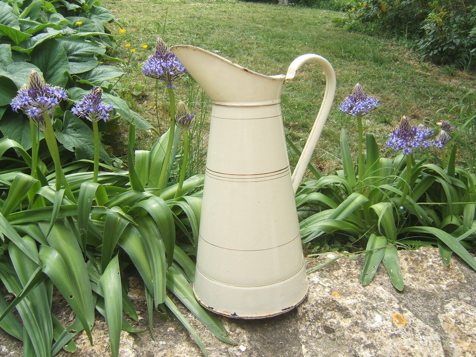 Superbe Crème Body Pitcher Old Français Enamelware Granitware. Serre Chaude de Jardin