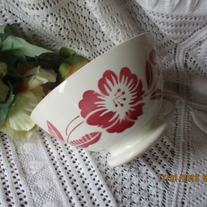 Può includere: Una ciotola in ceramica bianca con un motivo floreale rosso. La ciotola ha una base a piede ed è decorata con un unico grande fiore e foglie.