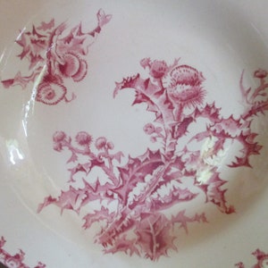 Antique 19th Century earthenware set 6 soup PLATES THISTLES pattern GIEN manufactory