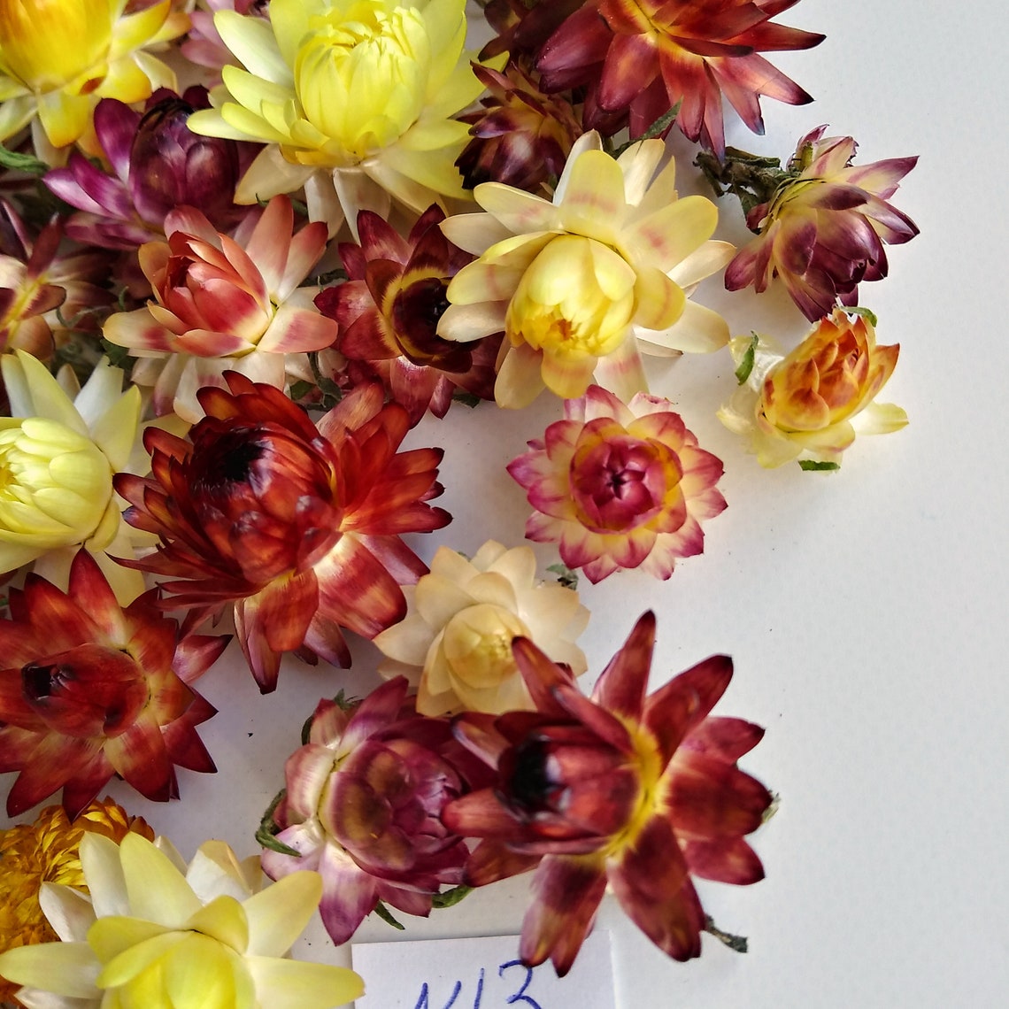 Dried Strawflowers Real Dry Strawflowers Dried flower bouquet Etsy