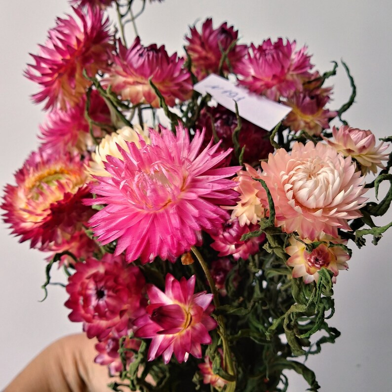 Flower arrangements straw bundle 11 stems dried flowers Etsy