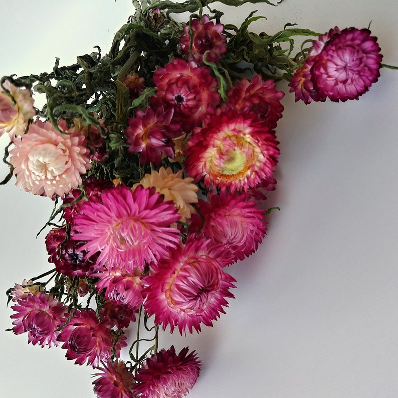 Flower arrangements straw bundle 11 stems dried flowers Etsy