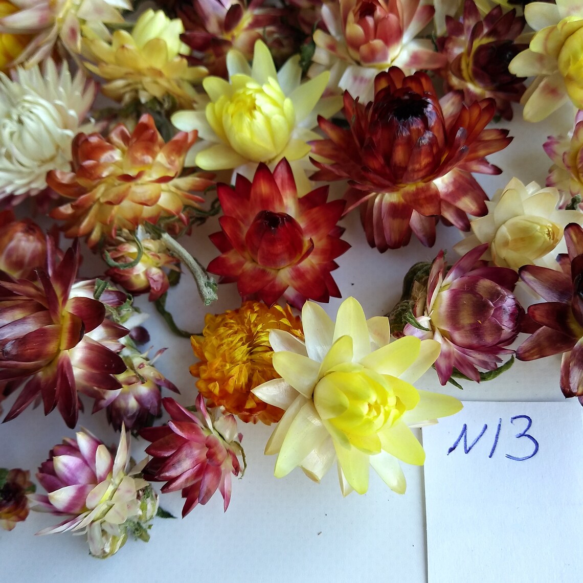 Dried Strawflowers Real Dry Strawflowers Dried flower bouquet Etsy