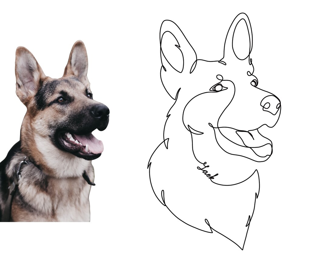 Facile Comment Dessiner Un Chien Berger Allemand Dessin de ligne de chien Commission de tatouage Portrait de - Etsy Canada
