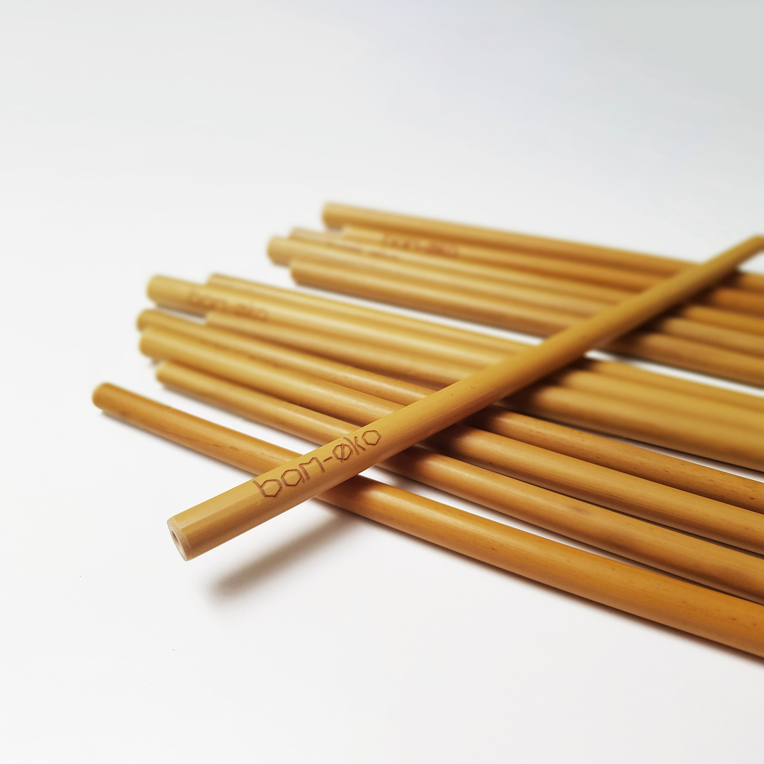 Bamboo Straws 2 Pack by Bamøko // Sustainable Natural Reusable