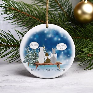 Personalised Pet Memorial Christmas Tree Ornament, I Still Talk About You Pet Loss Bauble, Dogs and Cats Xmas Decor