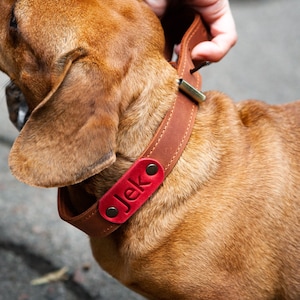 Leather dog collar personalized, Dog collar with name, Engraved leather dog collar, Dog collar boy leather, handmade dog collar buckle image 1