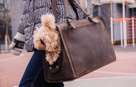  BETOP HOUSE Fashion Dog Carrier PU Leather Dog Handbag Dog  Purse Cat Tote Bag Pet Cat Dog Hiking Bag, Brown, Small 38*23*17cm : Pet  Supplies