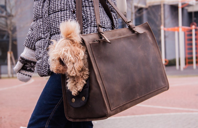 May include: A brown leather tote bag with a small dog peeking out of the top. The bag has a zipped pocket and a flap closure.