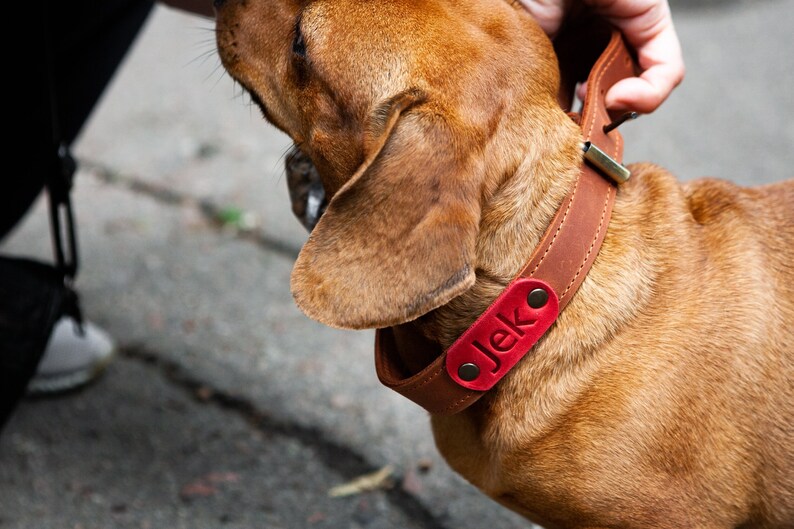 Leather dog collar personalized, Dog collar with name, Engraved leather dog collar, Dog collar boy leather, handmade dog collar buckle image 1