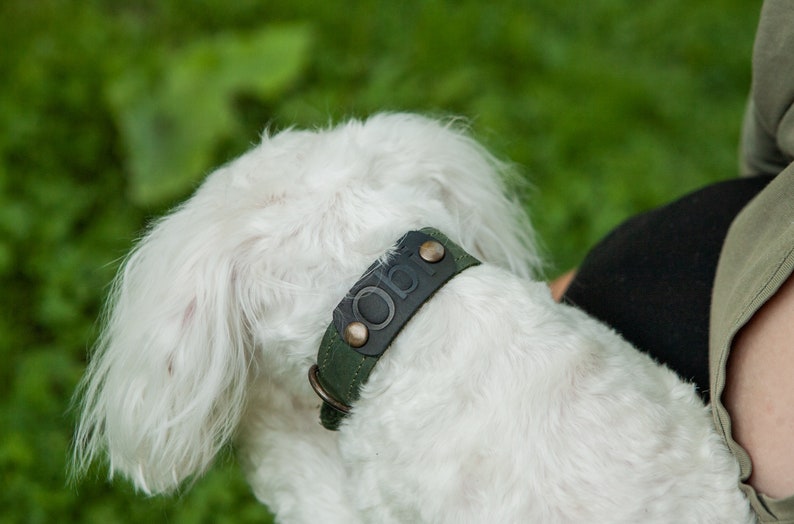 Leather dog collar personalized, Dog collar with name, Engraved leather dog collar, Dog collar boy leather, handmade dog collar buckle image 7