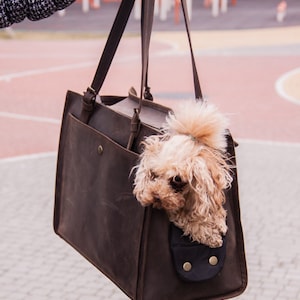 May include: A brown leather tote bag with a small dog peeking out of the top. The bag has a flap with a buckle closure and a small pocket on the front.