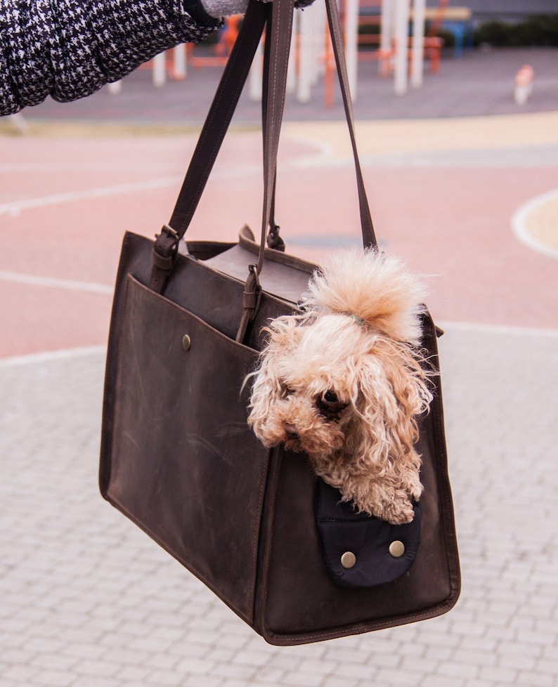 May include: A brown leather tote bag with a small dog peeking out of the top. The bag has a flap with a buckle closure and a small pocket on the front.