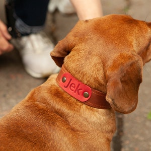 Leather dog collar personalized, Dog collar with name, Engraved leather dog collar, Dog collar boy leather, handmade dog collar buckle image 3