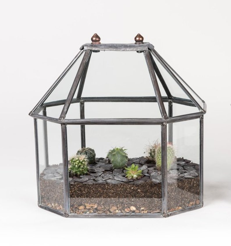 Traditional Terrarium Long Octagonal Etsy