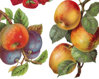 papercraft 4 x Tasty Apples on Wood paper napkins scrapbooking decoupage Serviettes fruit napkins #0814