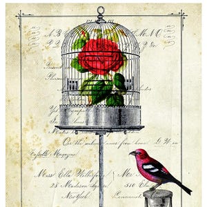 Vintage Rose In Birdcage Decoupage Rice Paper, Red Bird And Hourglass, French Script Paper Or Cardstock Options Decoupage Rice paper 7&quot;X11&quot;