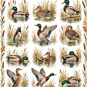 May include: A collection of twelve illustrations of mallard ducks in various poses, including swimming, flying, and standing in water, surrounded by a decorative border of cattails and oak leaves on a white background.