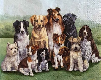 PAPER NAPKINS DOGS COLLECTION SERVIETTES EN PAPIER CHIENS DE COLLECTION RACES