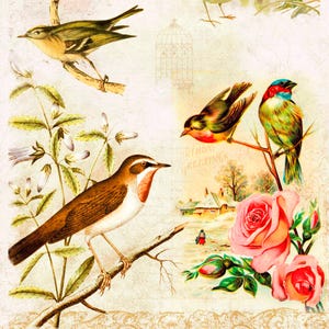 Decoupage Rice Paper Birds Flowers Vintage Illustration Songbirds Roses for Crafts Paper or Cardstock Options Decoupage Rice paper 7&quot;X11&quot;