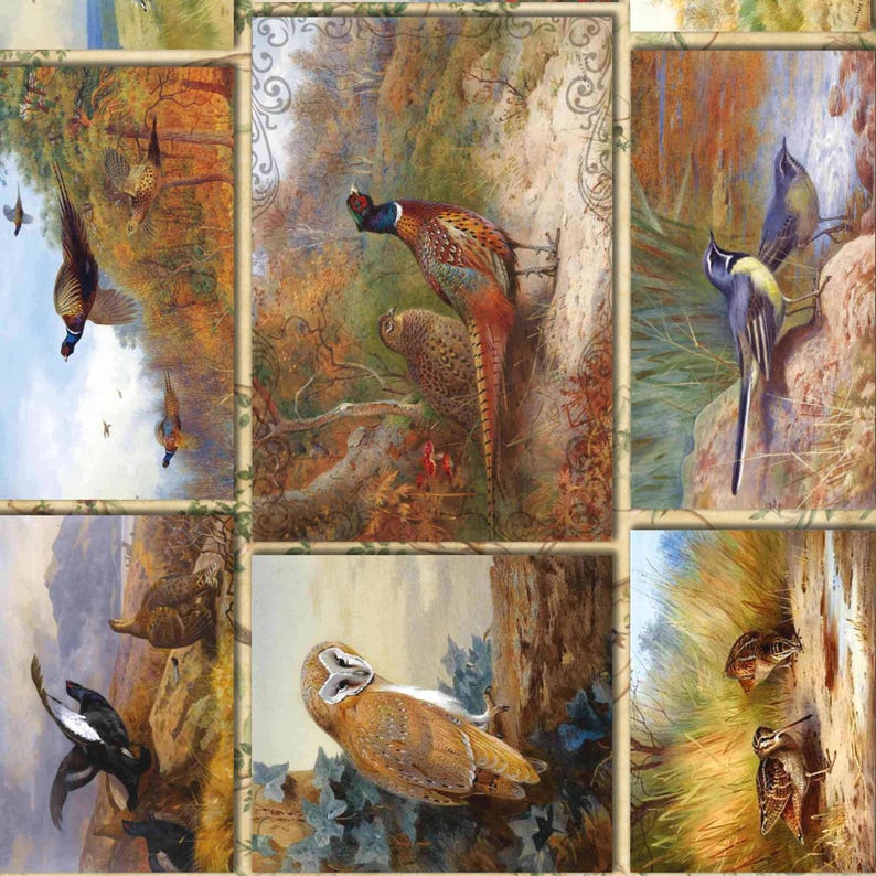 Vintage Birds Collage Pheasants Decoupage Rice Paper Owl Nature ...
