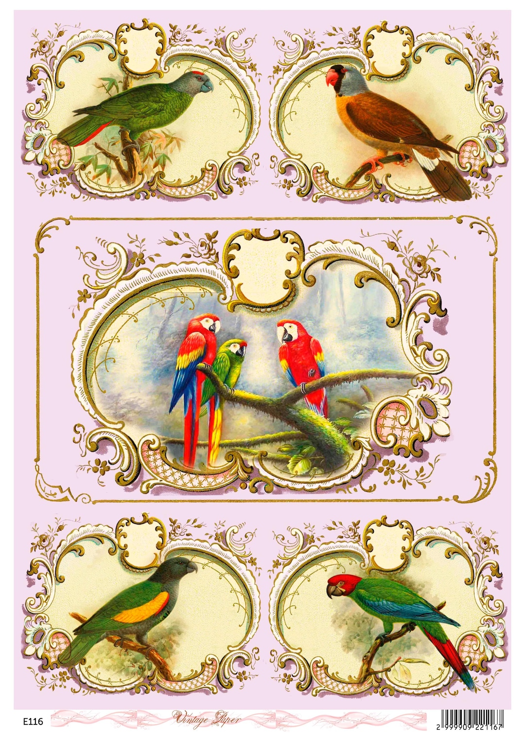 Vintage Parrots Decoupage Rice Paper Ornate Frames Tropical Birds ...