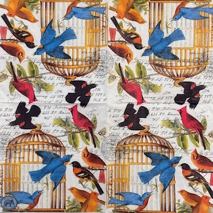 Tovagliolo di carta vintage con gabbia per uccelli per decoupage 10x10 pollici Uccelli canterini colorati, gabbie per uccelli dorate, scritte botaniche, tovaglioli per decoupage con timbro postale