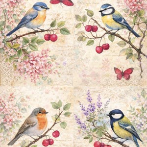 May include: A vintage-style illustration featuring four birds perched on branches with cherries. The birds are blue, yellow, and brown, set against a backdrop of pink flowers, purple lavender, and red butterflies. The background has a faded, aged paper texture.