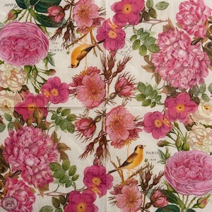 Servilleta de papel vintage con diseño de pájaros y flores de París para decoupage, scrapbooking, tarjetas, bricolaje, decoración shabby chic para primavera, Pascua, Día de la Madre, servilleta de 13 pulgadas