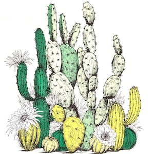 Cactus Succulent Decoupage Paper Napkin: Desert Plants, DIY Crafts