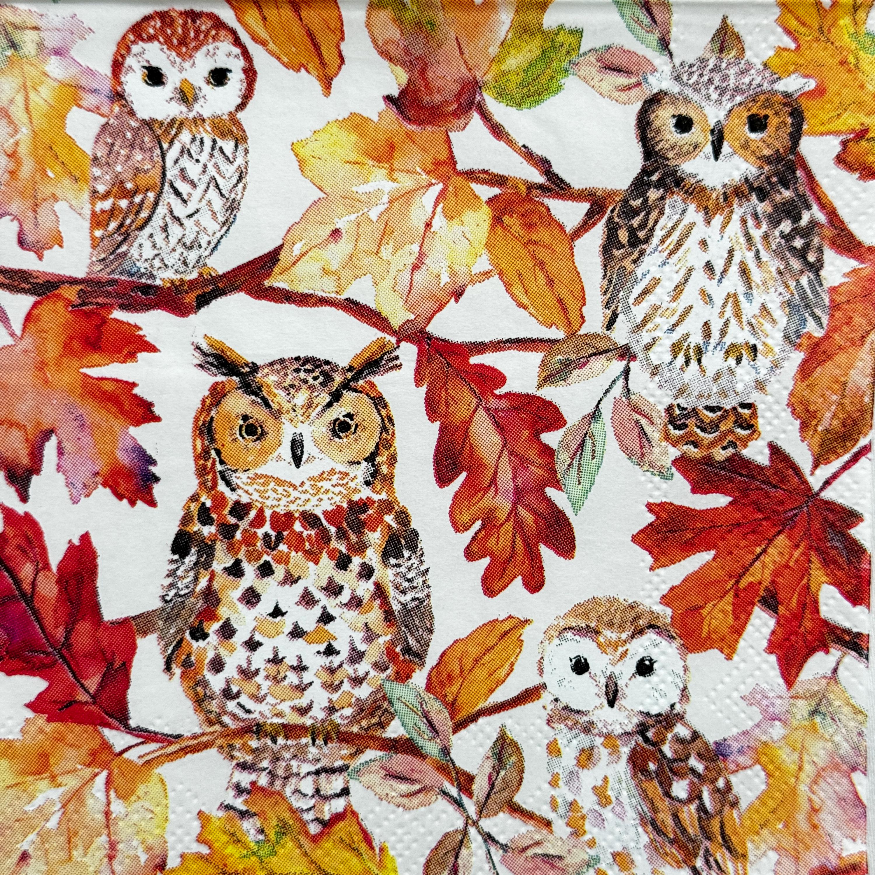 Autumn Owls on Colorful Fall Leaves Paper Napkin for Decoupage Scrapbooking Card Making Crafts DIY T