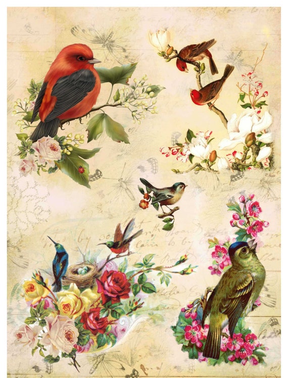 Paper Floral Birds Print Scrapbooking Paper Art Decoupage Etsy