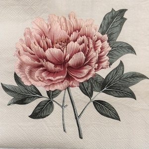 Vintage Style Decoupage Paper Napkin with Pink Peony Flower Illustration and Green Leaves for Craft Decoupage Cardmaking DIY Projects 13&#39;&#39;