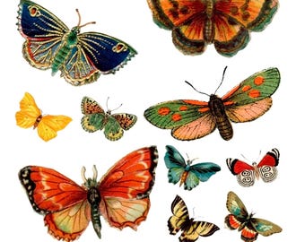 Vintage Schmetterling Decoupage Reispapier, Scrapbooking Schmetterlinge Handwerk Blatt Papier für DIY Projekte, Mixed Media Art Cardstock 7 "X11"