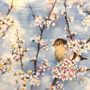 May include: A paper napkin featuring a watercolor illustration of a small brown bird perched among branches of white cherry blossoms against a soft blue background. The design shows delicate petals and buds on thin brown twigs surrounding the bird.