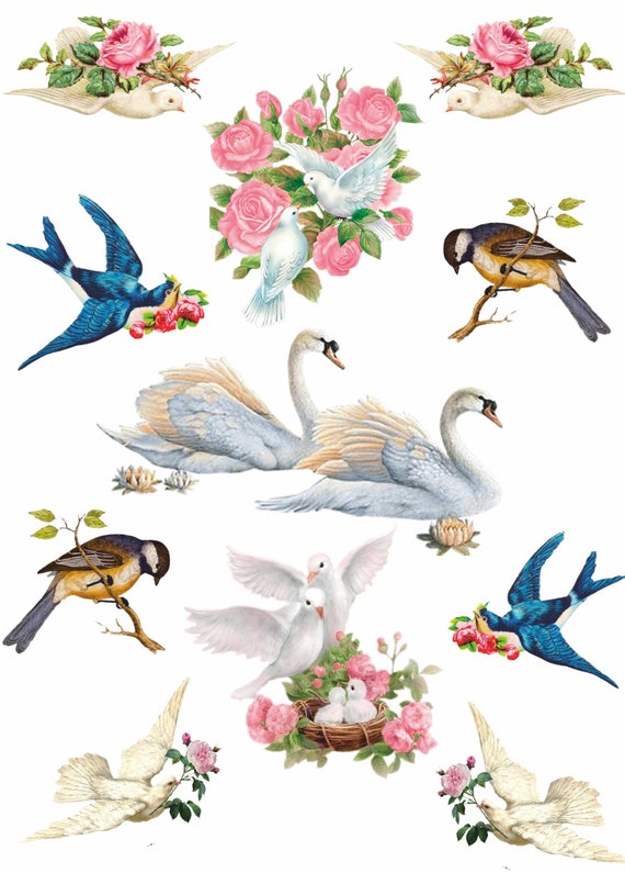 Scrapbooking Rice Paper for Decoupage Sheet Craft Vintage Parrots Family