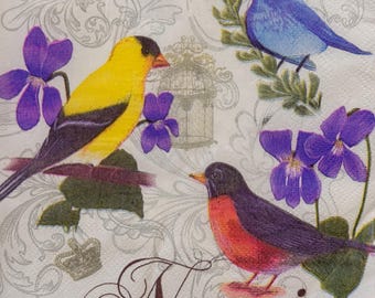 Vintage Bird Paper Napkin for Decoupage With Colorful Songbirds, Purple ...