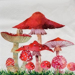 May include: Watercolor illustration of several red mushrooms with white spots, set against a backdrop of green grass. One mushroom has a snail on top. The mushrooms vary in size and shape, with some having a wide, flat cap and others a more conical form.