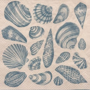 May include: A collection of blue and white seashell illustrations on a white background. The seashells vary in shape and size, with detailed patterns and textures. The image is a close-up, showcasing the intricate designs.