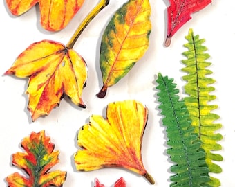 Set di adesivi con foglie autunnali, adesivi con foglie autunnali per scrapbooking e carta pop-up, adesivi con acero, quercia, ginkgo e felce, adesivi per lavori creativi, 9 pezzi