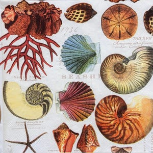 Vintage Nautische Muschel Koralle Seestern Decoupage Papierserviette für Handwerk Scrapbook Collage 13x13 Zoll Meer Ozean Strand Shell Decor Art