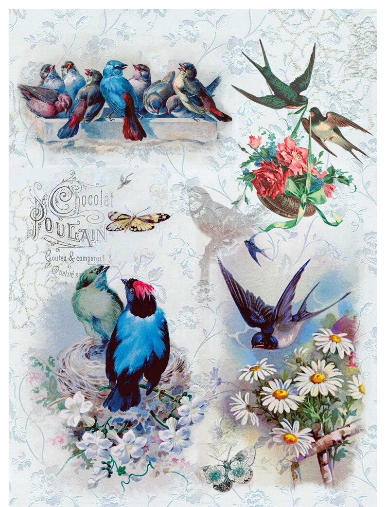 Paper Floral Birds Print Scrapbooking Paper Art Decoupage Etsy
