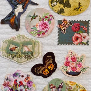 Set di adesivi Vintage Nature - 10 adesivi pop-up 3D con uccelli, farfalle, fiori, colibrì - perfetti per la creazione di biglietti di scrapbooking